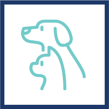 Pet Friendly Icon